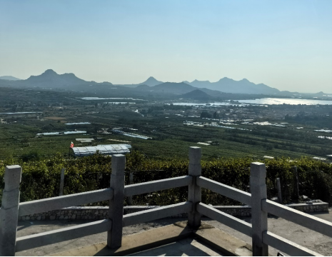 http://m.fszhongqun.com.cn平度大澤山葡萄園引進(jìn)萊恩德土壤肥料檢測(cè)儀， 輕松掌握土壤營(yíng)養(yǎng)